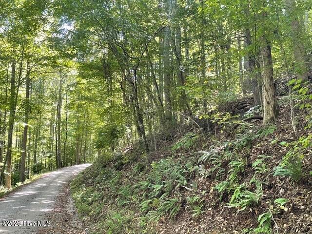 Photo of 00 Rocky Branch Overlook, Topton, NC 28781 (MLS # 100611375)