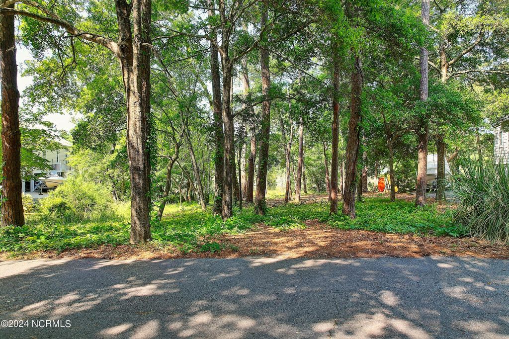 Photo of 1805 Egret Street SW, Shallotte, NC 28470 (MLS # 100443612)