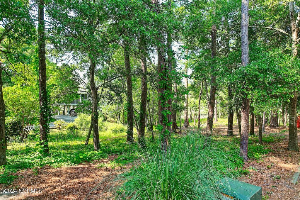 Photo of 1805 Egret Street SW, Shallotte, NC 28470 (MLS # 100443612)