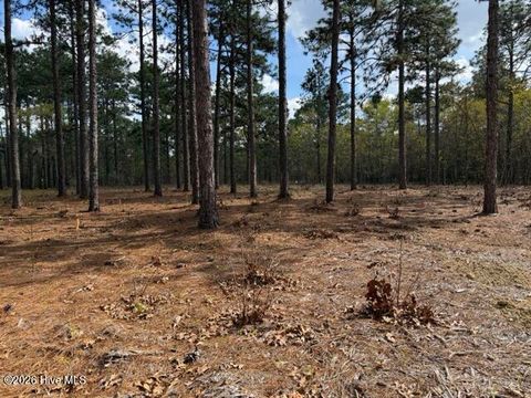 Vacant Land For Sale - 27 Birkdale Way<br/> Pinehurst, NC 28374