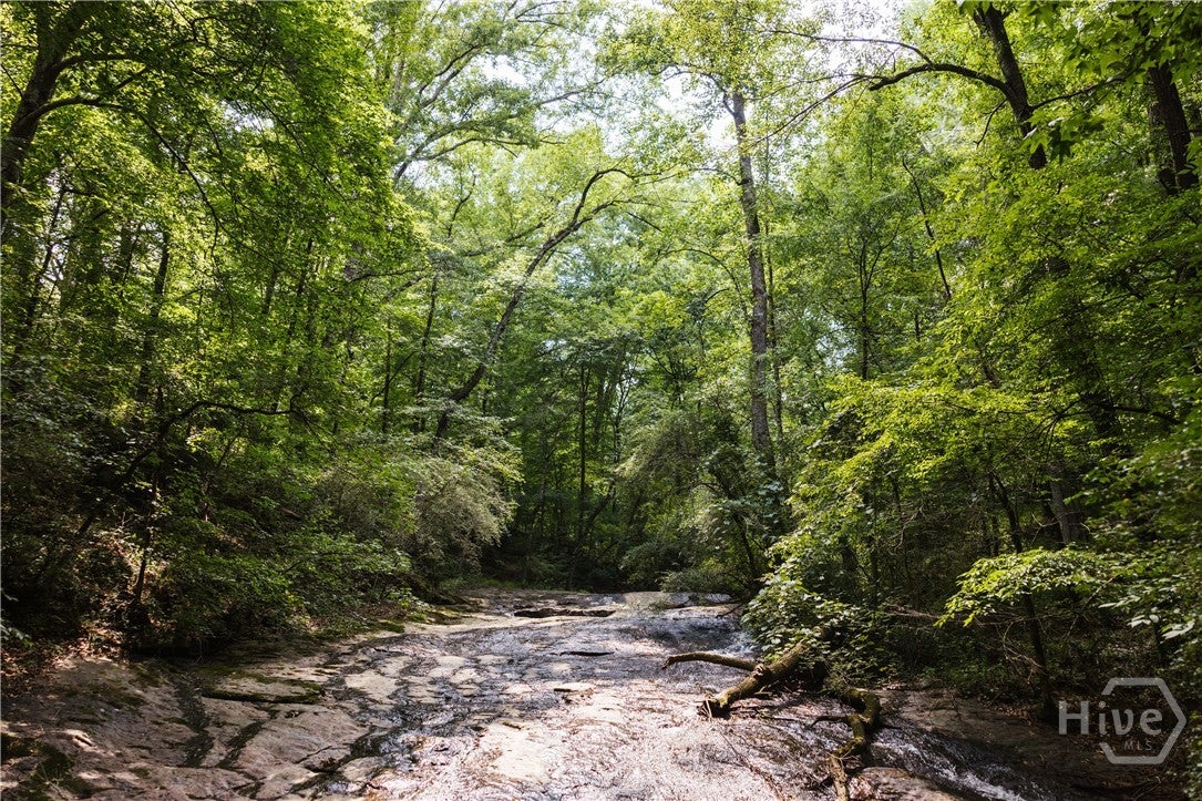 1381 Elder Mill Road