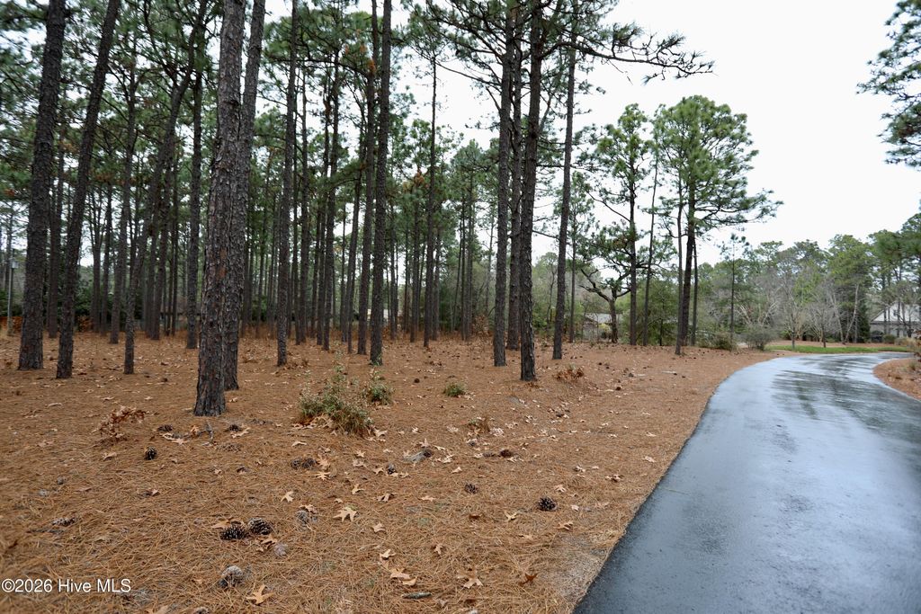 Photo of 160 Midland Trail, Pinehurst, NC 28374 (MLS # 100549699)