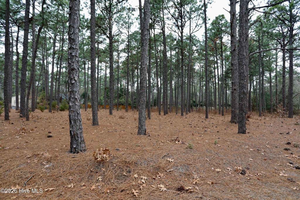 Photo of 160 Midland Trail, Pinehurst, NC 28374 (MLS # 100549699)