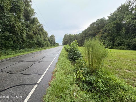 Tiny photo for 1 Point Caswell Road, Willard, NC 28478 (MLS # 100596889)