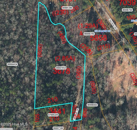 Vacant Land For Sale - TBD Herman Drive<br/> Carthage, NC 28327