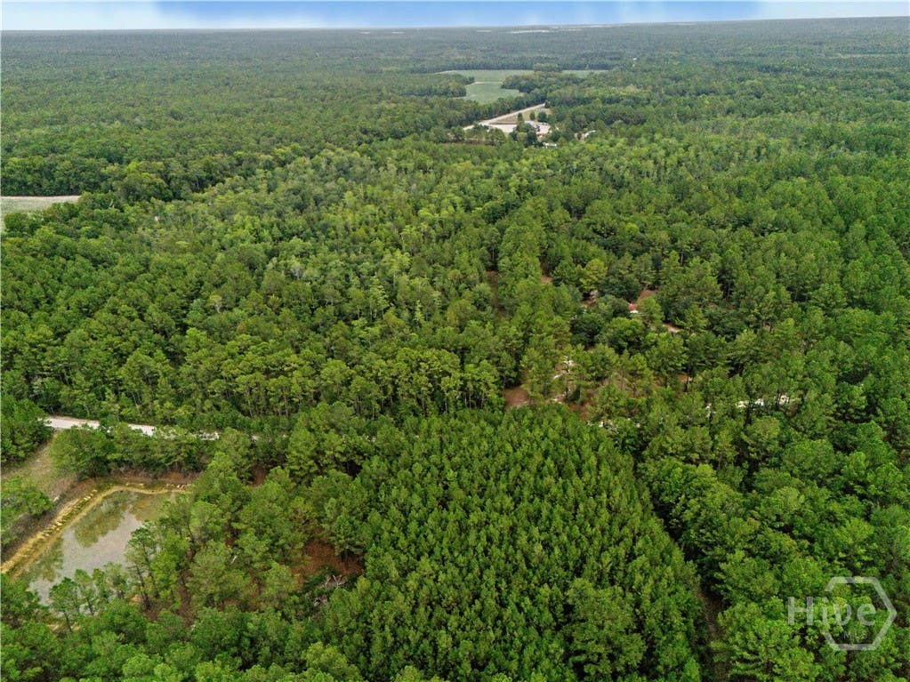 Photo of 200 George Drive, Brooklet, GA 30415 (MLS # SA361362)