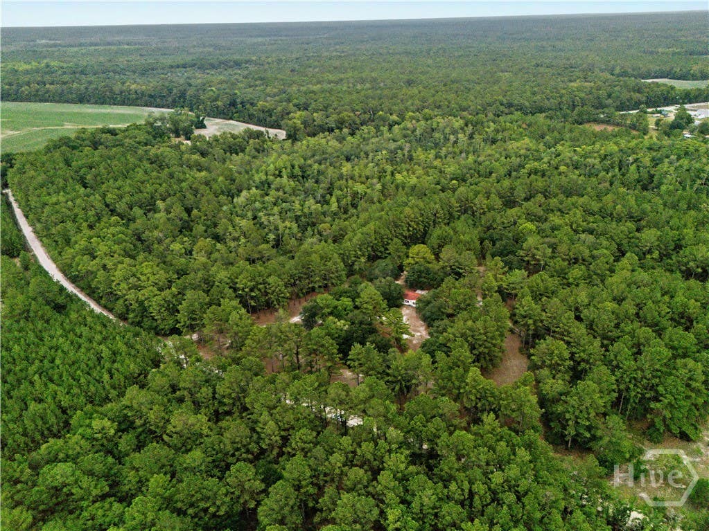 Photo of 200 George Drive, Brooklet, GA 30415 (MLS # SA361362)