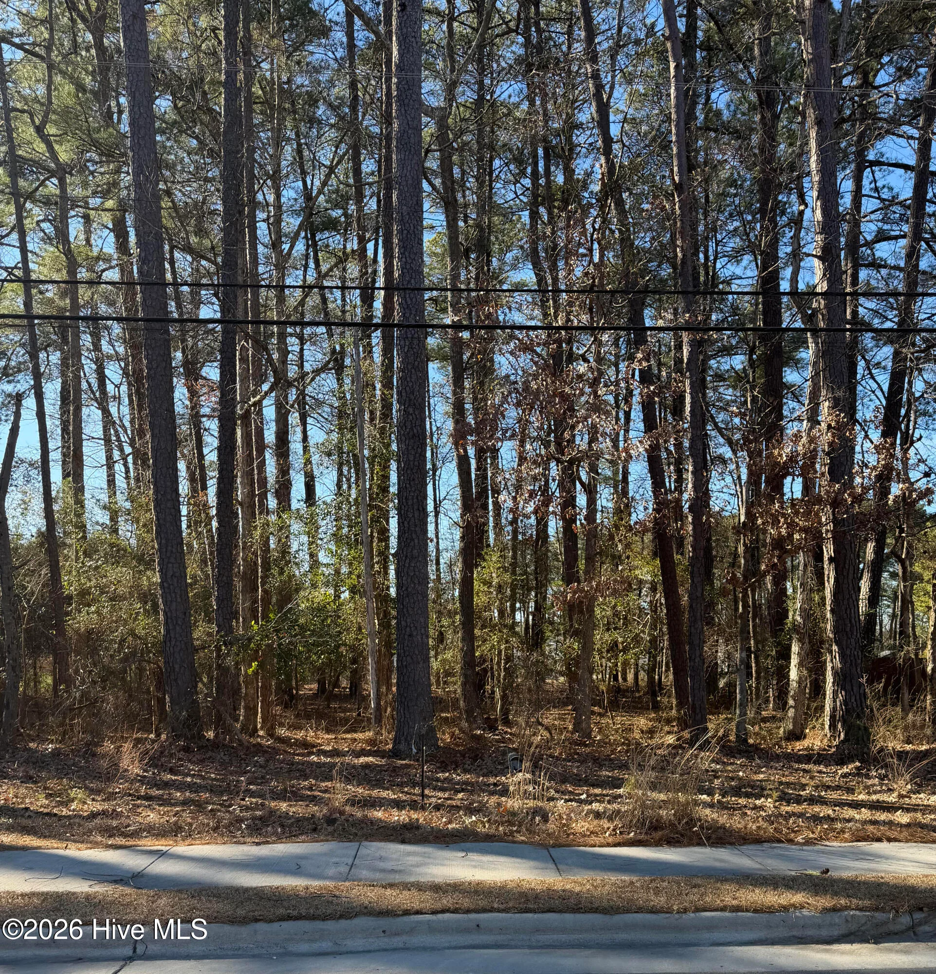 Lot 3 Springfield Road