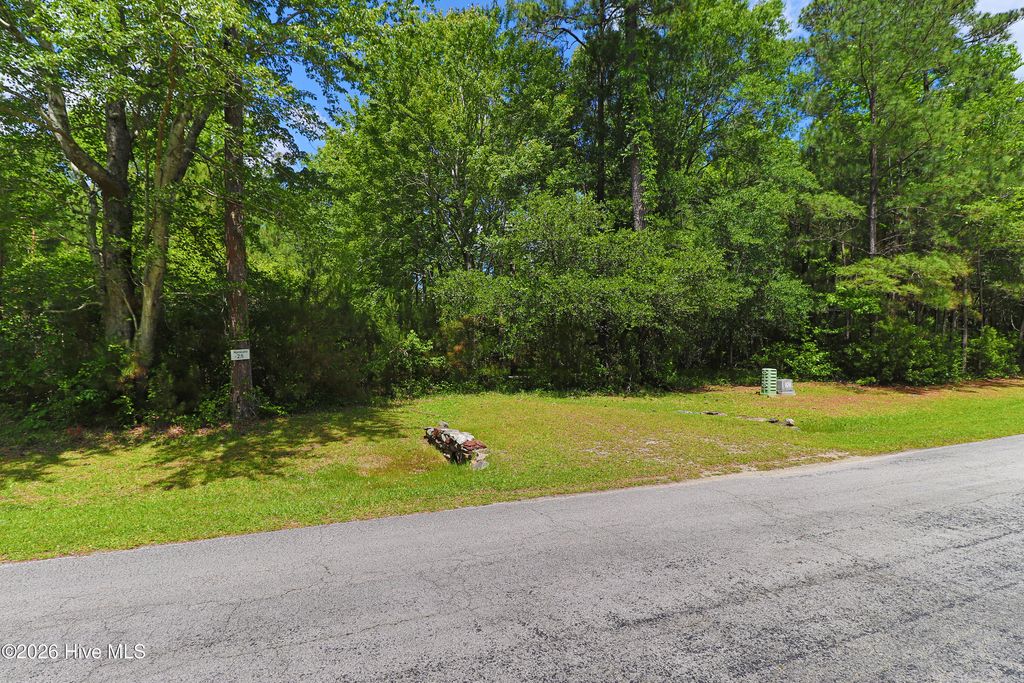 Photo of 135 Herring Pond Court, Beaufort, NC 28516 (MLS # 100573383)