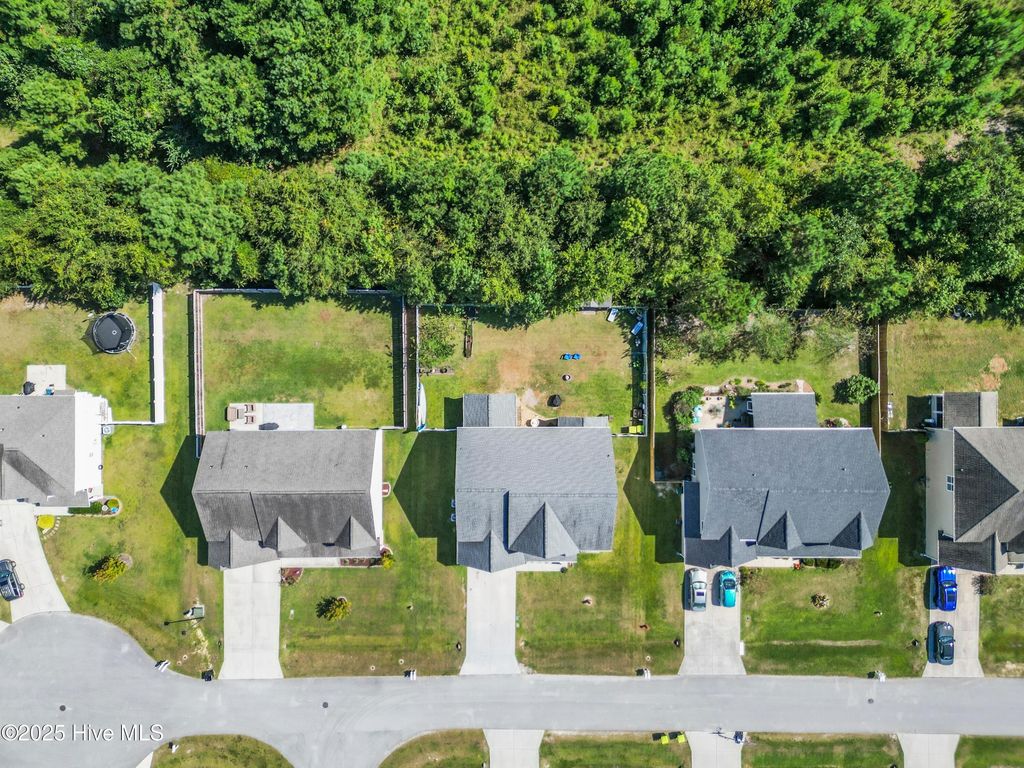 Photo of 250 Watercrest Landing Way, Swansboro, NC 28584 (MLS # 100532495)