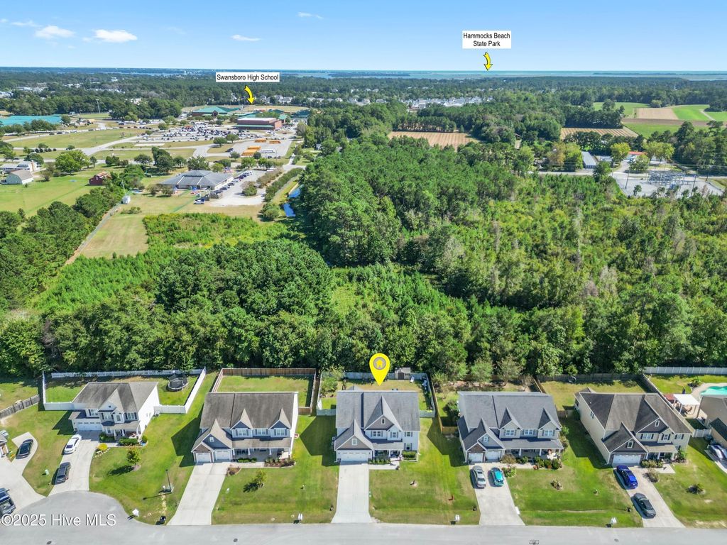 Photo of 250 Watercrest Landing Way, Swansboro, NC 28584 (MLS # 100532495)