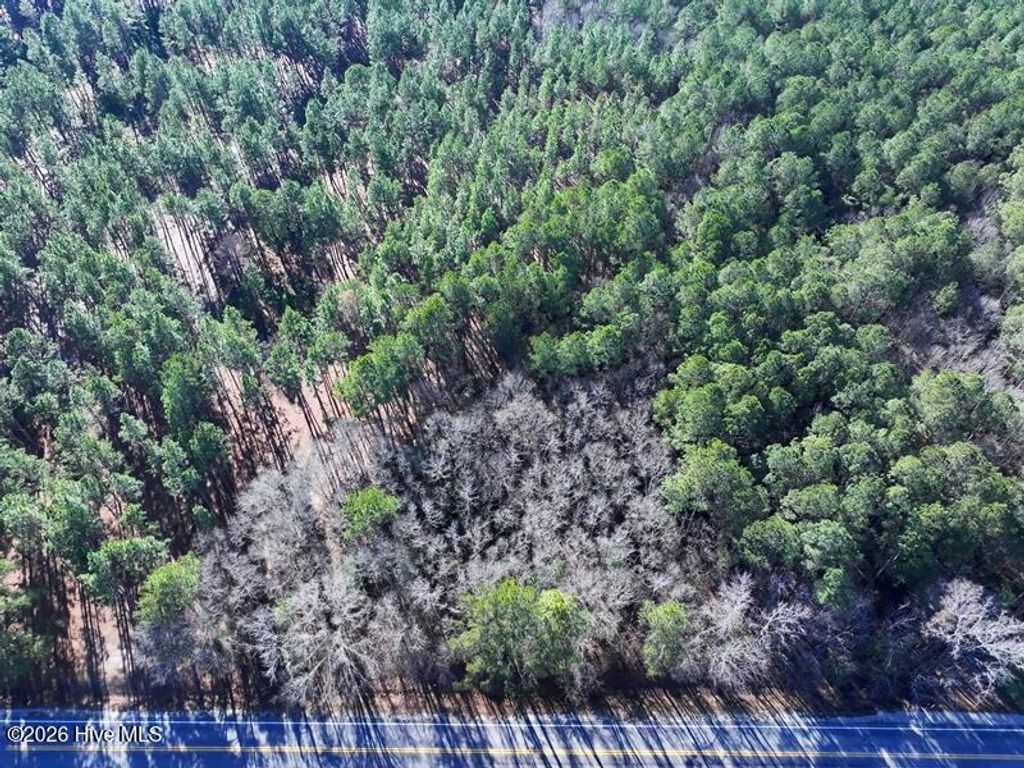 Photo of Tbd Nc Hwy 130 Road, Fairmont, NC 28340 (MLS # 100551133)