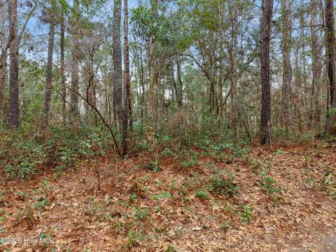 Tiny photo for 1038 Andover Place SE, Bolivia, NC 28422 (MLS # 100557077)