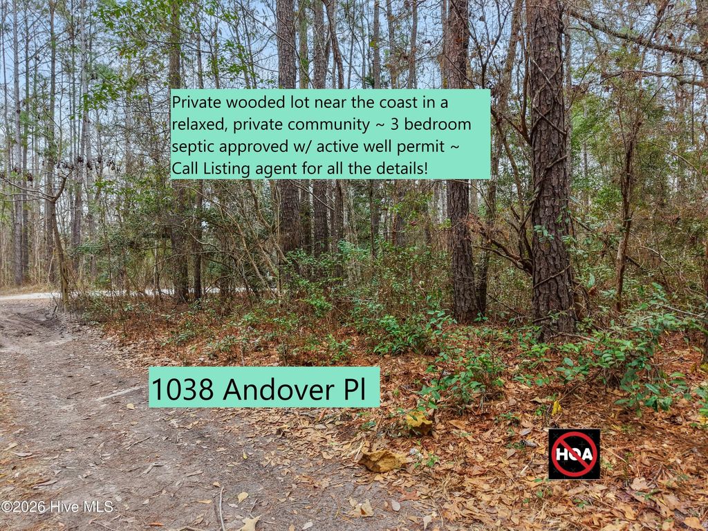 Photo of 1038 Andover Place SE, Bolivia, NC 28422 (MLS # 100557077)