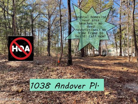 Vacant Land For Sale - 1038 Andover Place<br/> Bolivia, NC 28422