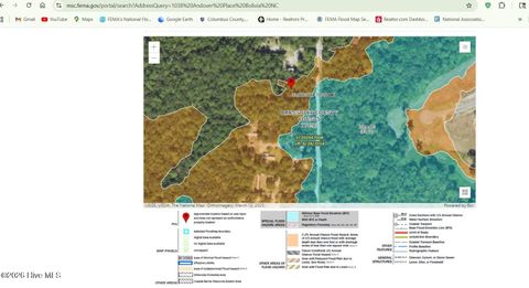 Tiny photo for 1038 Andover Place SE, Bolivia, NC 28422 (MLS # 100557077)