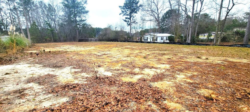 Photo of 2409 Willis Foreman Road, Hephzibah, GA 30815 (MLS # 550963)