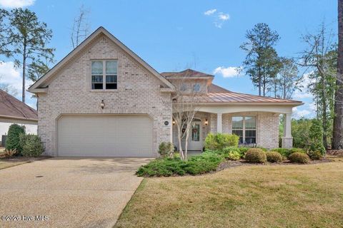 Photo of 3612 Excelsior Lane, Castle Hayne, NC 28429 (MLS # 100560096)