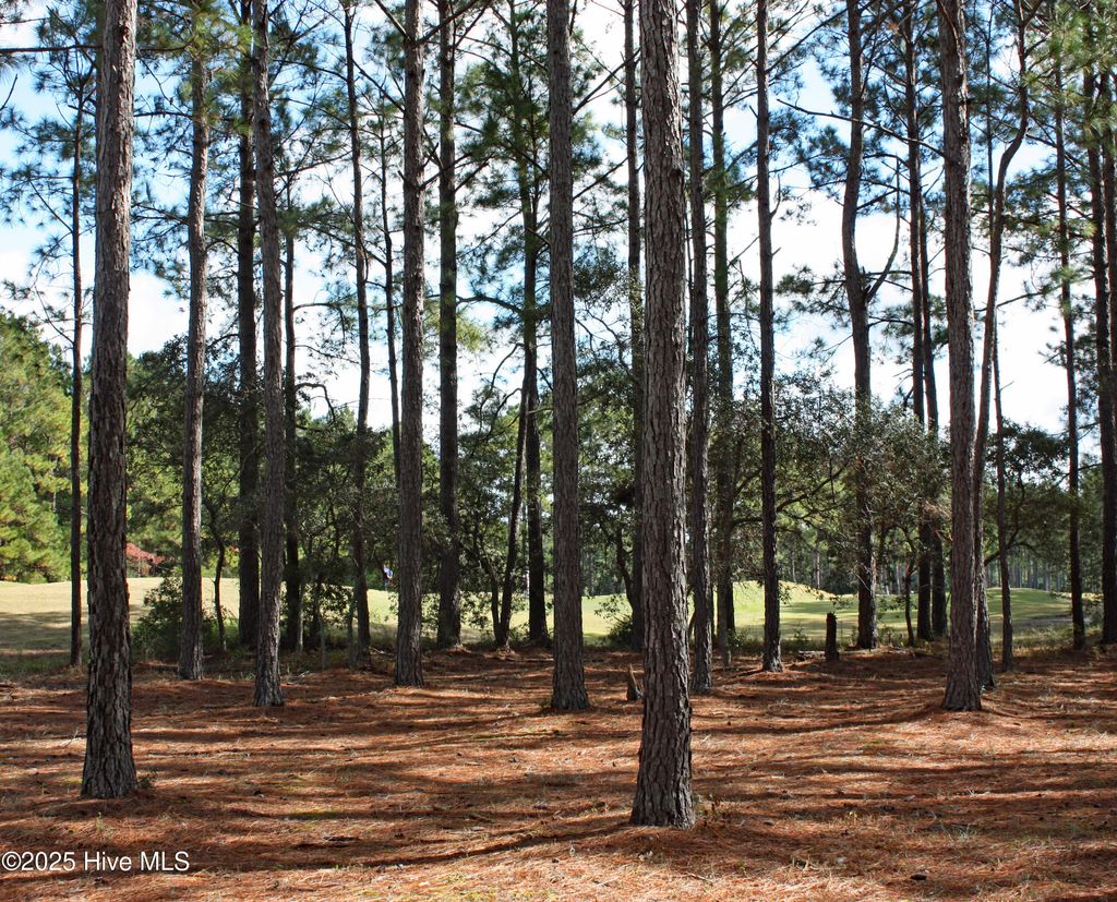 Photo of 6282 Castlebrook Way SW, Ocean Isle Beach, NC 28469 (MLS # 100539163)