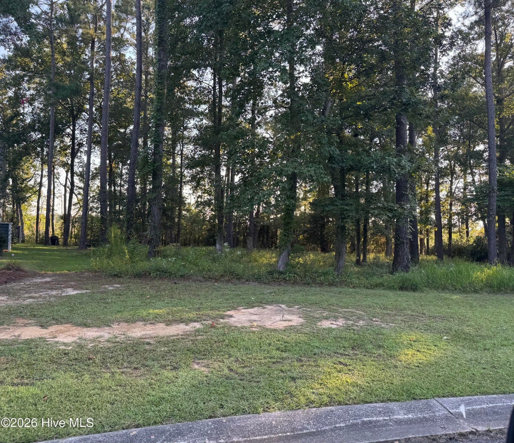 Photo of 213 Lockhaven Drive SE, Bolivia, NC 28422 (MLS # 100600993)