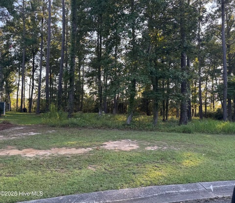 Tiny photo for 213 Lockhaven Drive SE, Bolivia, NC 28422 (MLS # 100600993)