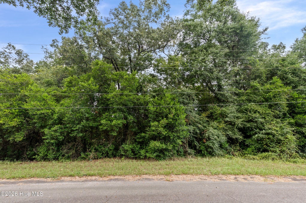 Photo of 121 Rhodes Street, Jackson, SC 29831 (MLS # 100606545)