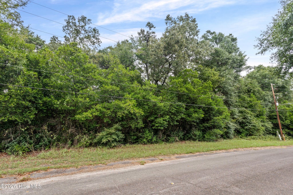 Photo of 121 Rhodes Street, Jackson, SC 29831 (MLS # 100606545)
