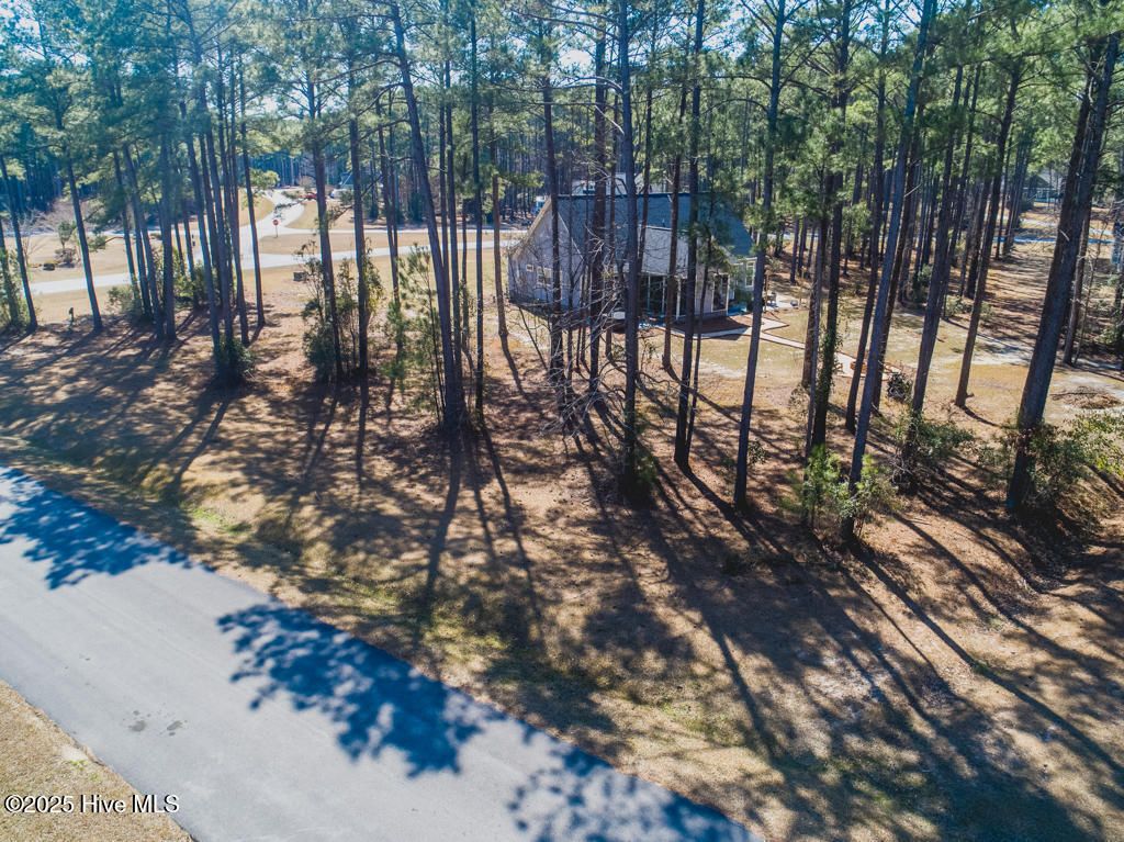 Photo of 59 Chickory Lane, Minnesott Beach, NC 28510 (MLS # 100481694)