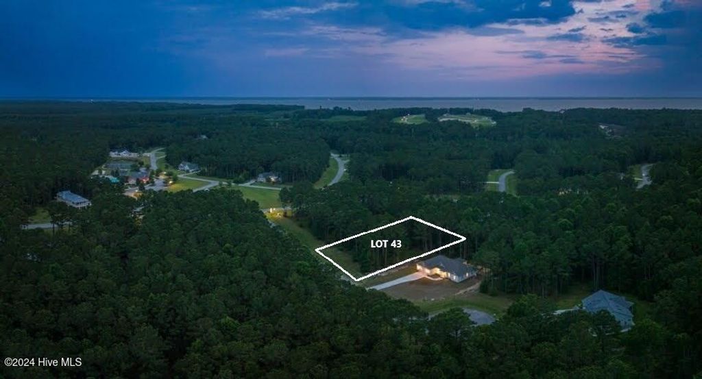 Photo of 59 Chickory Lane, Minnesott Beach, NC 28510 (MLS # 100481694)