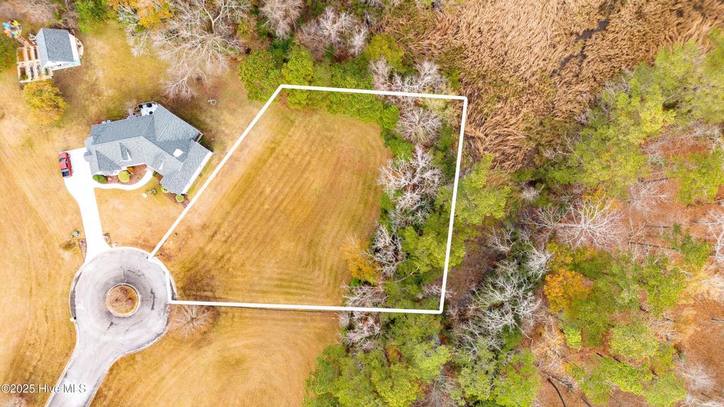 Photo of 118 Elbert Lee Road N, Arapahoe, NC 28510 (MLS # 100545244)