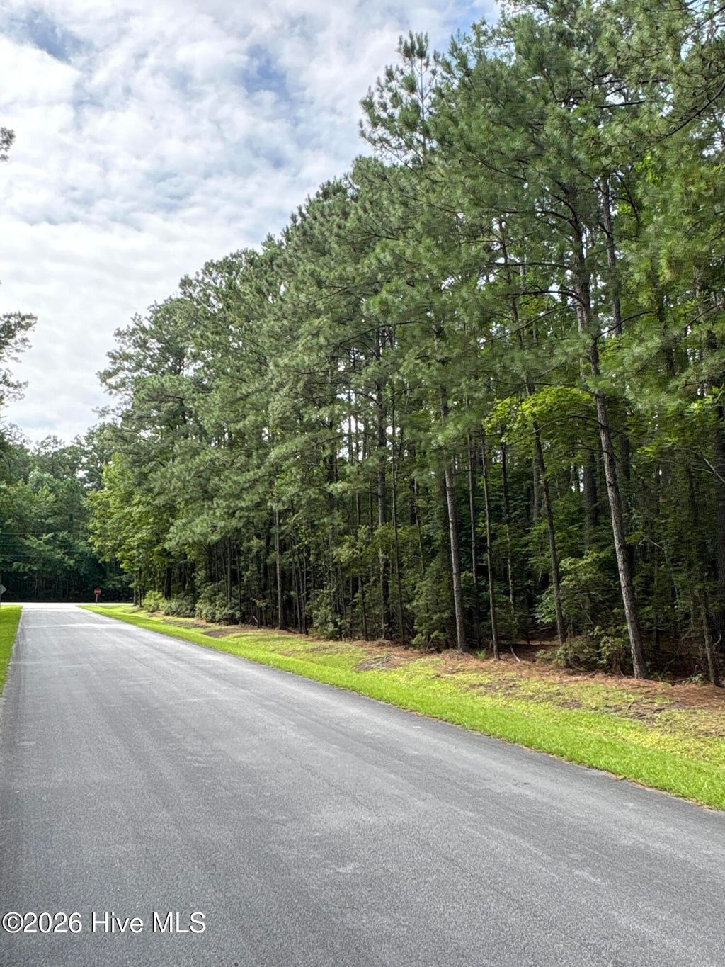 Photo of 45 Headwaters Drive, Oriental, NC 28571 (MLS # 100589121)