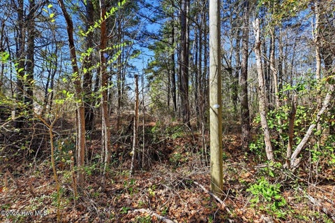 Tiny photo for 15460 Nc Highway 210, Rocky Point, NC 28457 (MLS # 100600849)