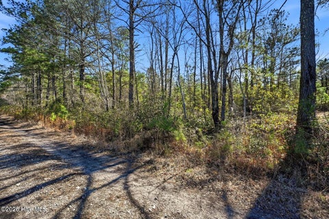 Tiny photo for 15460 Nc Highway 210, Rocky Point, NC 28457 (MLS # 100600849)