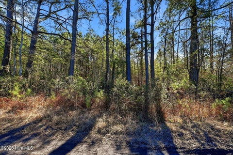 Tiny photo for 15460 Nc Highway 210, Rocky Point, NC 28457 (MLS # 100600849)