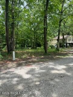 Tiny photo for 13 Riverview Drive, Burgaw, NC 28425 (MLS # 100597494)