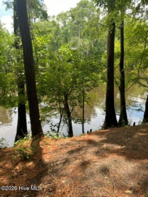 Photo of 13 Riverview Drive, Burgaw, NC 28425 (MLS # 100597494)
