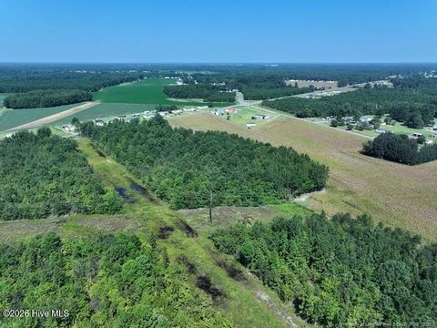 Vacant Land For Sale - 1C Alamac Road<br/> Lumberton, NC 28358