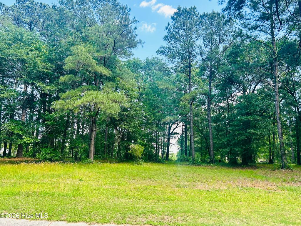 Photo of 261 W Winding Way, Wallace, NC 28466 (MLS # 100575457)