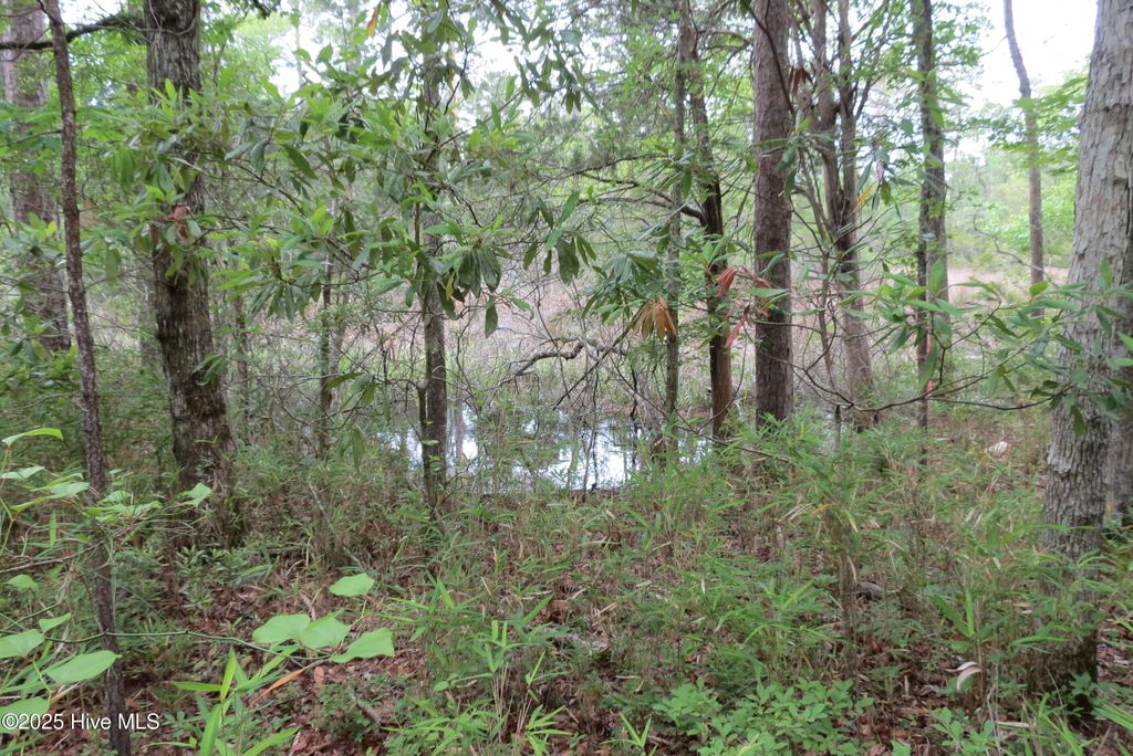 Photo of 117 Shoreline Court, Oriental, NC 28571 (MLS # 100510142)
