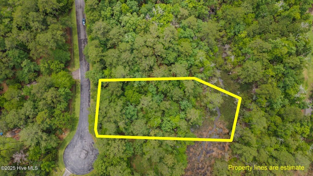 Photo of 117 Shoreline Court, Oriental, NC 28571 (MLS # 100510142)