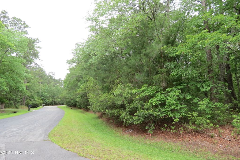 Photo of 117 Shoreline Court, Oriental, NC 28571 (MLS # 100510142)
