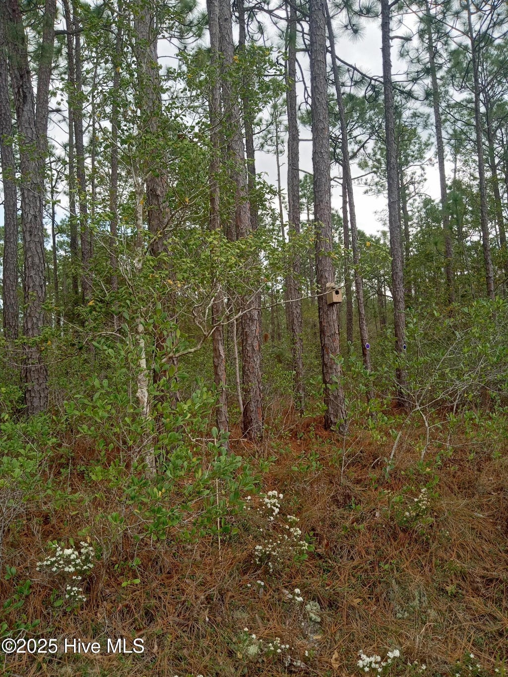 Photo of 61 W South Shore Drive, Southport, NC 28461 (MLS # 100498201)