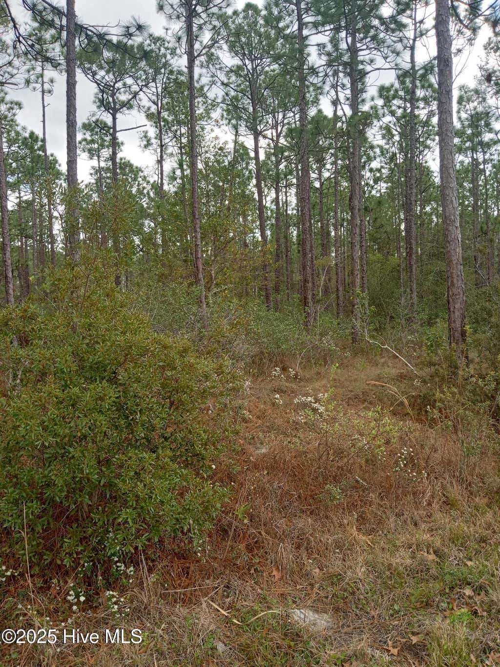 Photo of 61 W South Shore Drive, Southport, NC 28461 (MLS # 100498201)