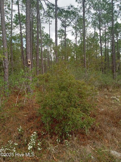 Vacant Land For Sale - LOT 61 W South Shore Drive<br/> Southport, NC 28461