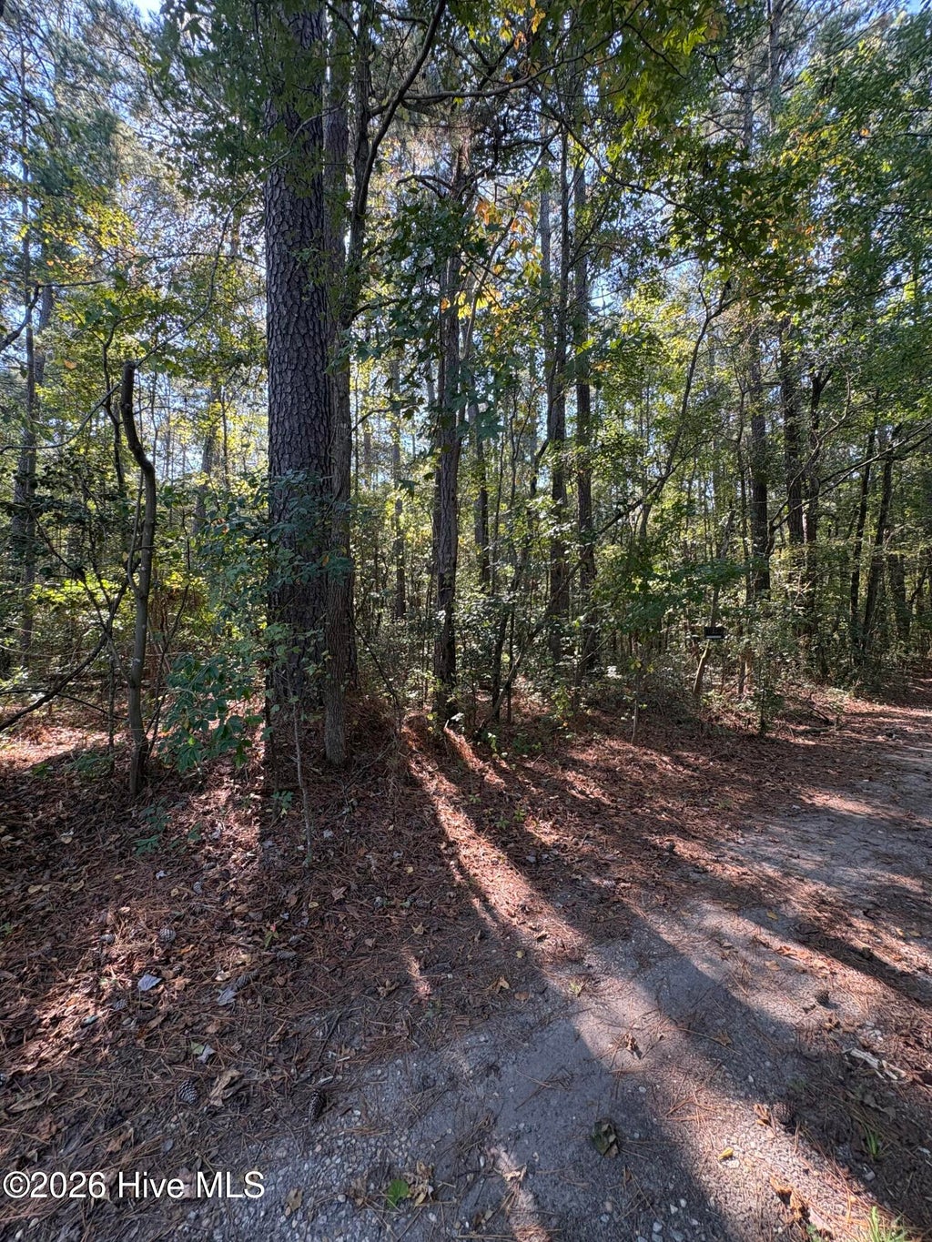 Photo of 16 Old Tar, Winterville, NC 28590 (MLS # 100611111)