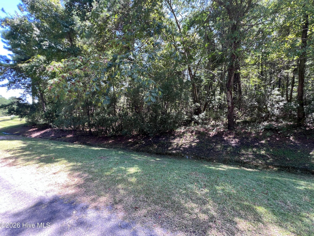 Photo of 4343 Windy Point, Belhaven, NC 27810 (MLS # 100595412)