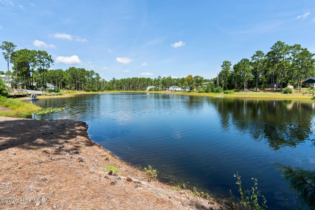 Photo of 2309 Frink Lake Drive, Southport, NC 28461 (MLS # 100603804)