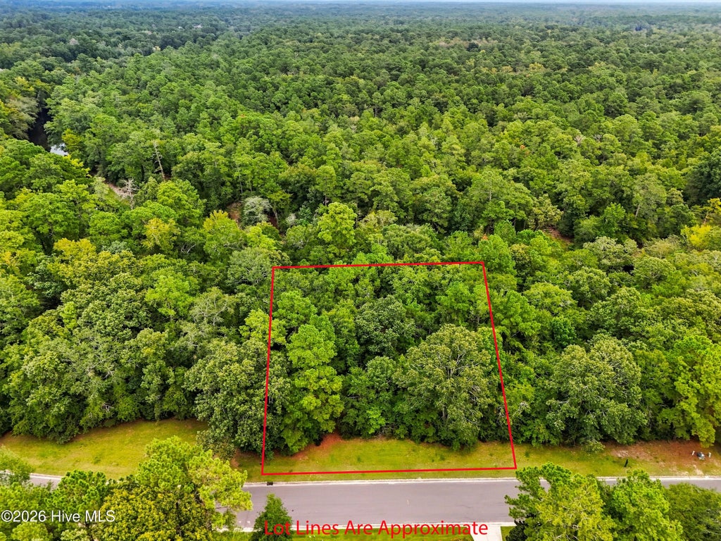 Photo of 155 Falling Water Way, Wallace, NC 28466 (MLS # 100605005)