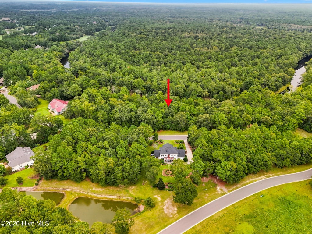 Photo of 155 Falling Water Way, Wallace, NC 28466 (MLS # 100605005)