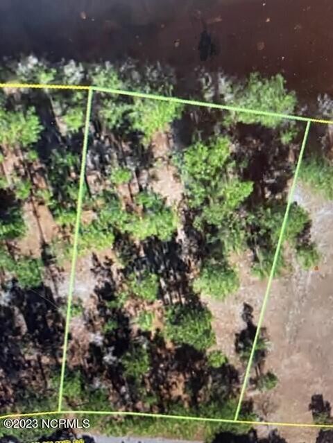 Vacant Land For Sale - 219 Oak Island Drive<br/> Bladen County, Harrells, NC 28444